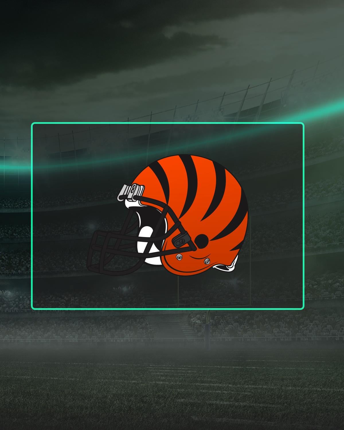 Bengals Imagery