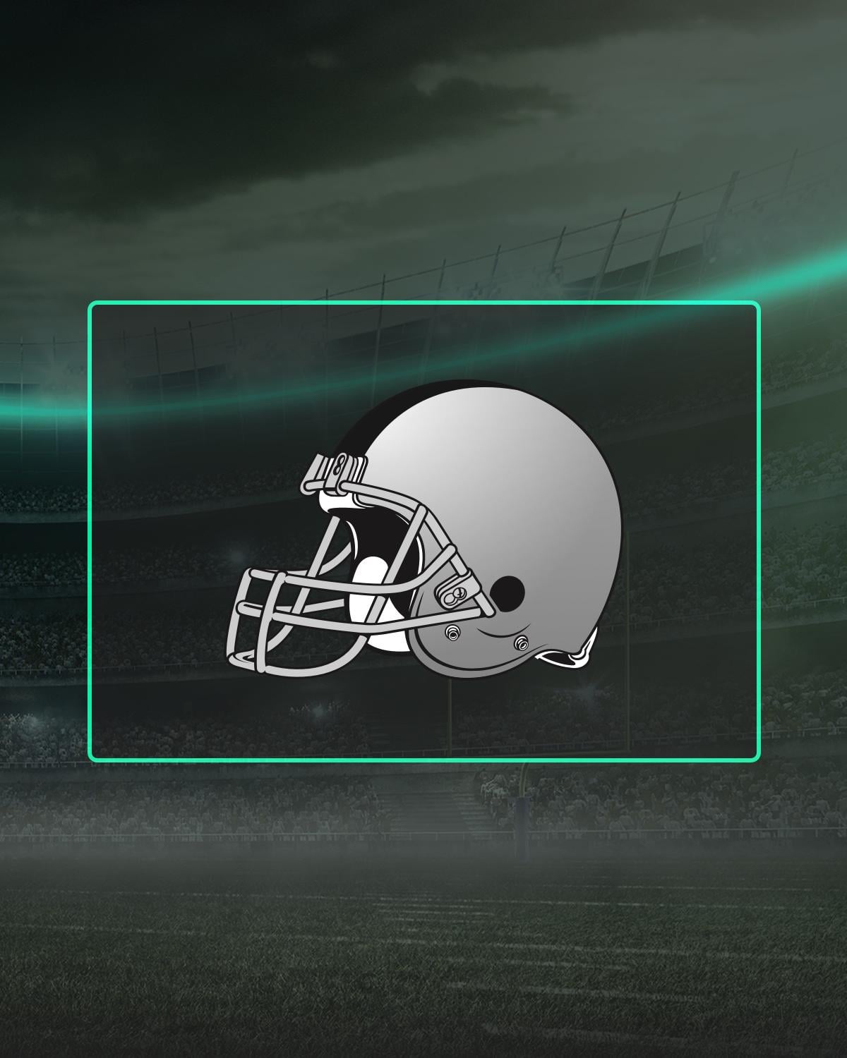 LA Raiders Imagery