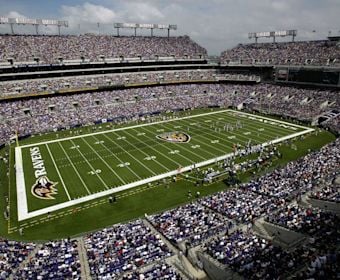 Ravens Imagery2